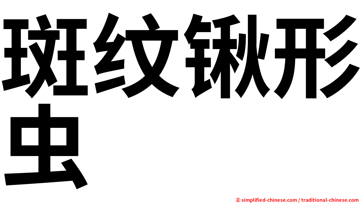 斑纹锹形虫