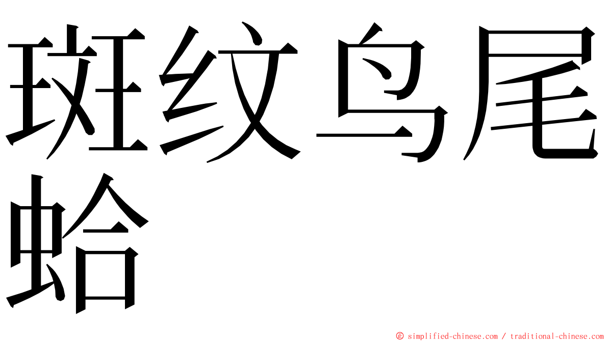 斑纹鸟尾蛤 ming font