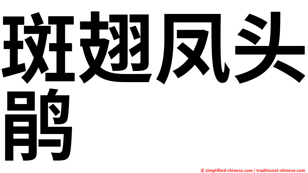 斑翅凤头鹃