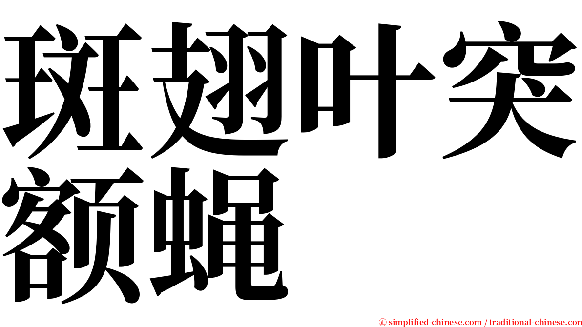斑翅叶突额蝇 serif font