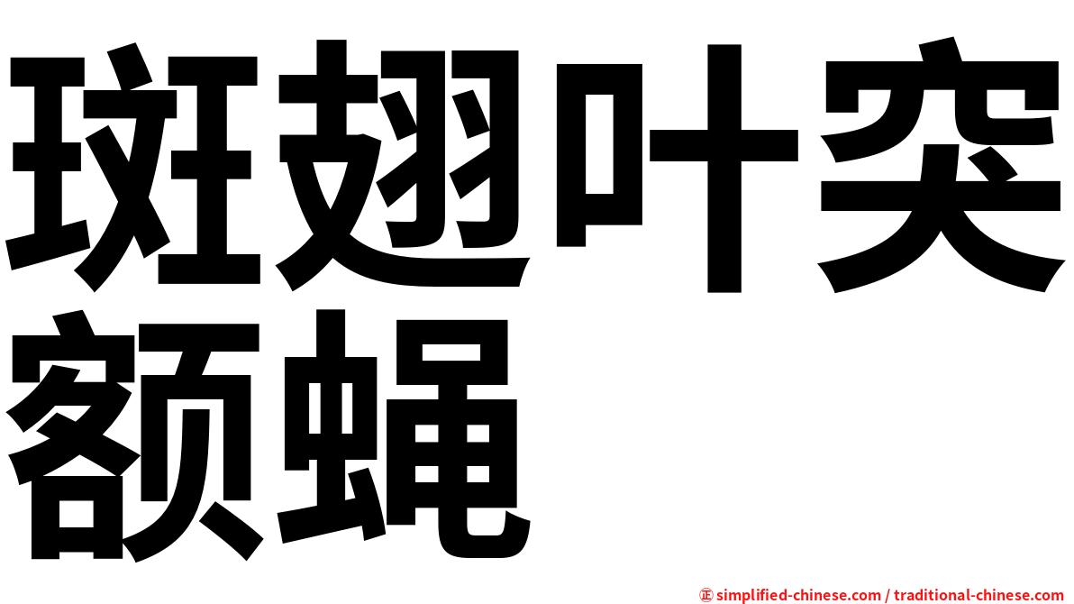 斑翅叶突额蝇