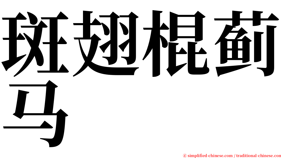 斑翅棍蓟马 serif font
