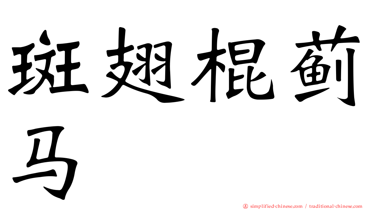斑翅棍蓟马