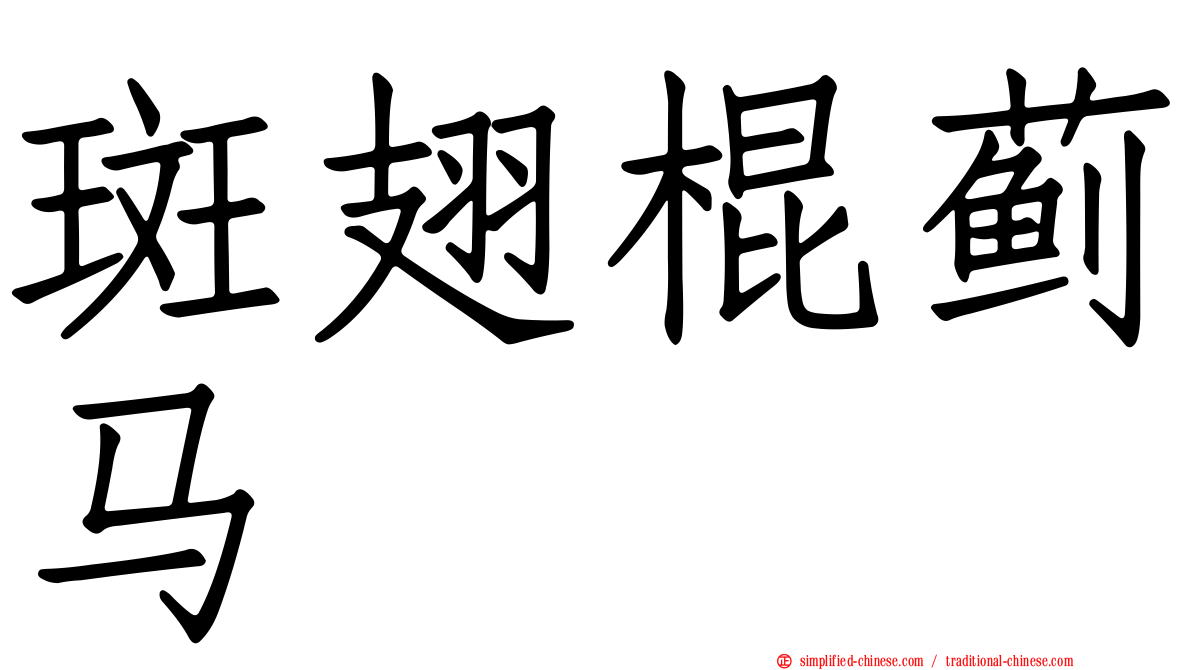 斑翅棍蓟马