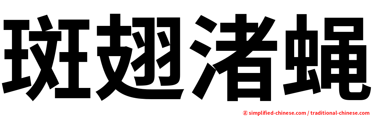 斑翅渚蝇