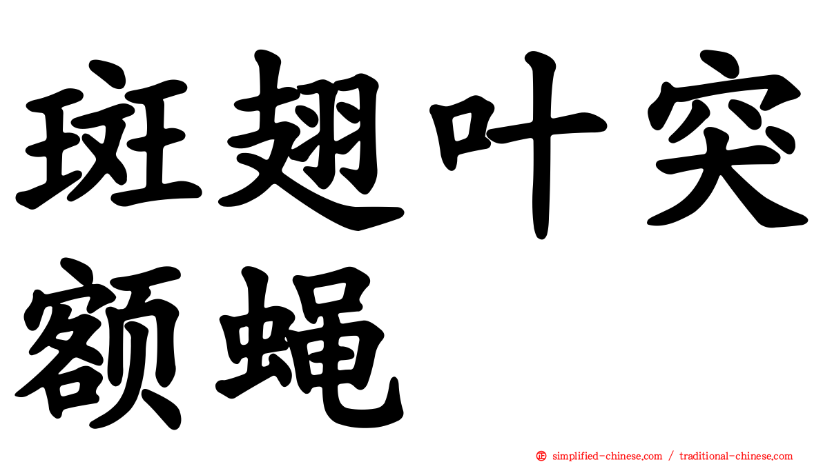 斑翅叶突额蝇