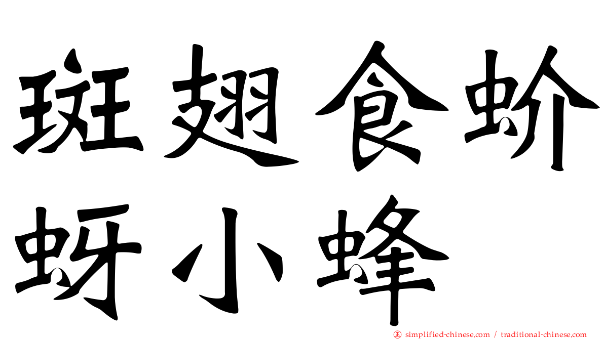 斑翅食蚧蚜小蜂