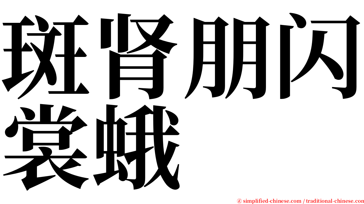 斑肾朋闪裳蛾 serif font