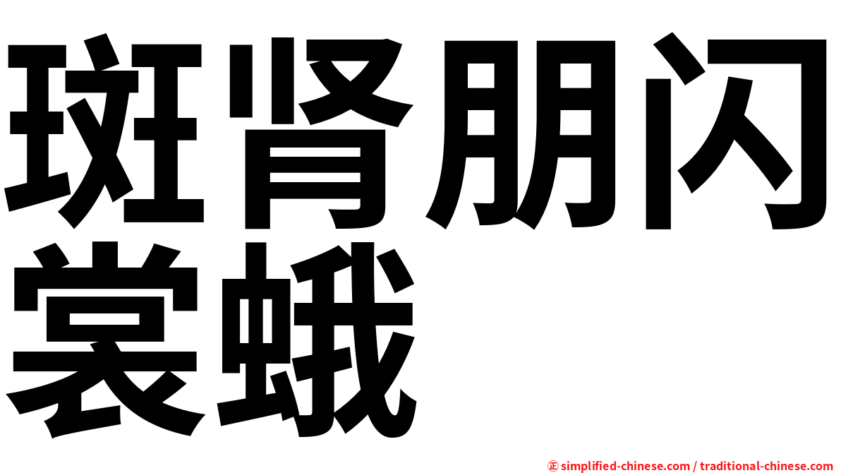 斑肾朋闪裳蛾