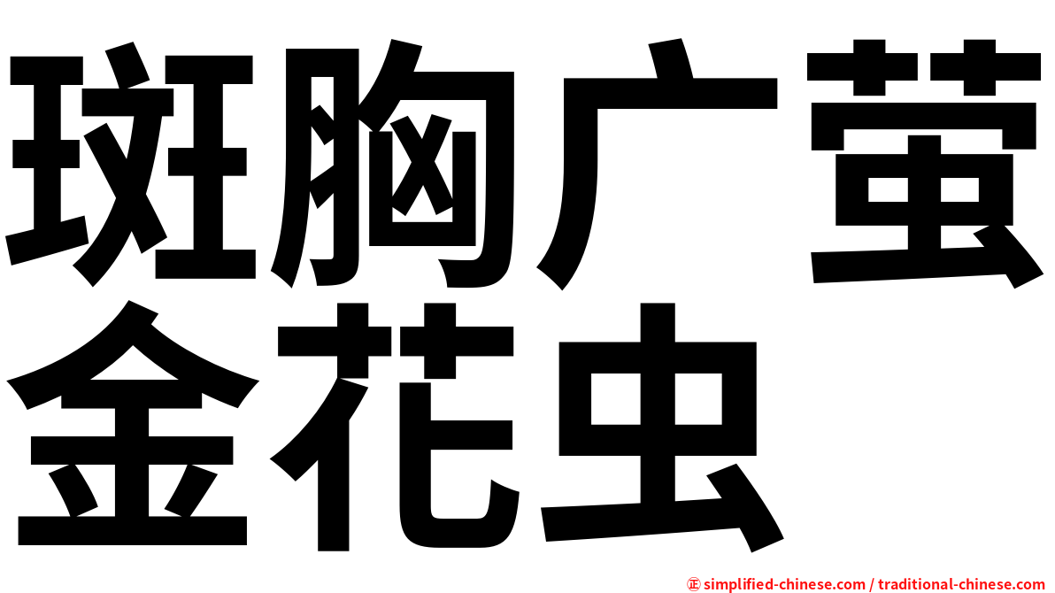 斑胸广萤金花虫