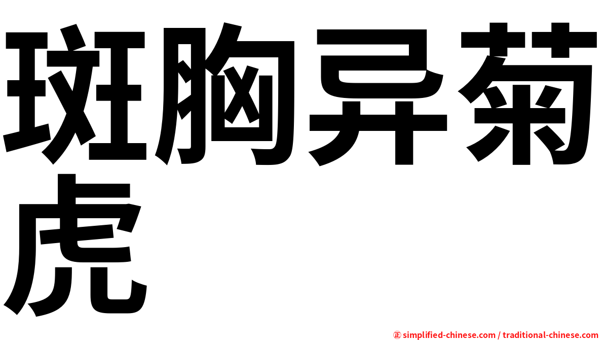 斑胸异菊虎
