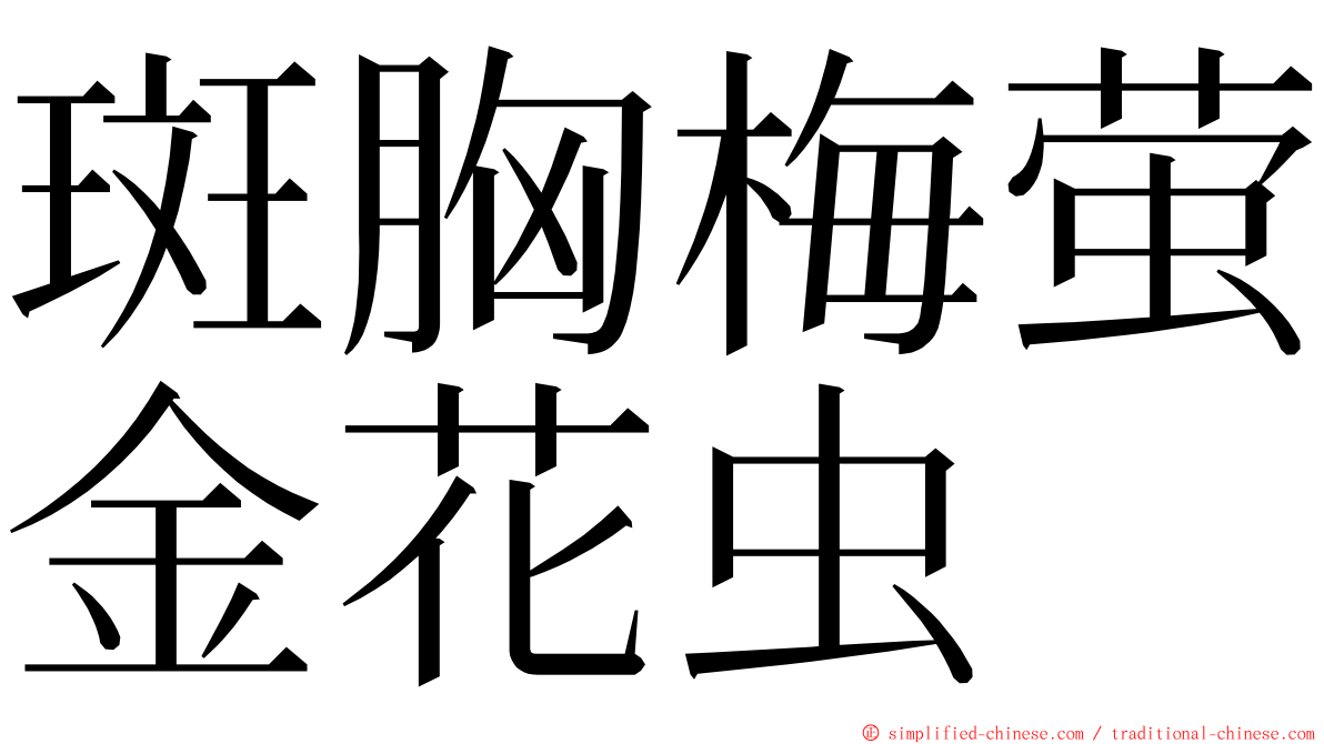 斑胸梅萤金花虫 ming font