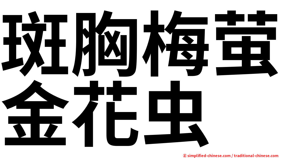 斑胸梅萤金花虫