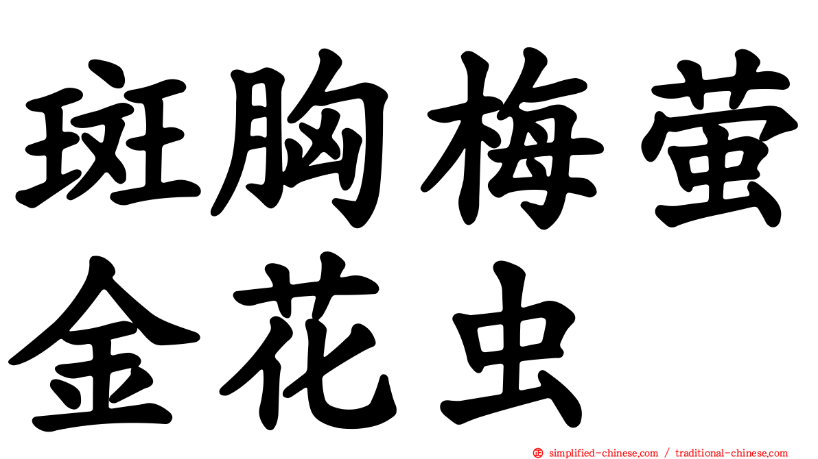 斑胸梅萤金花虫
