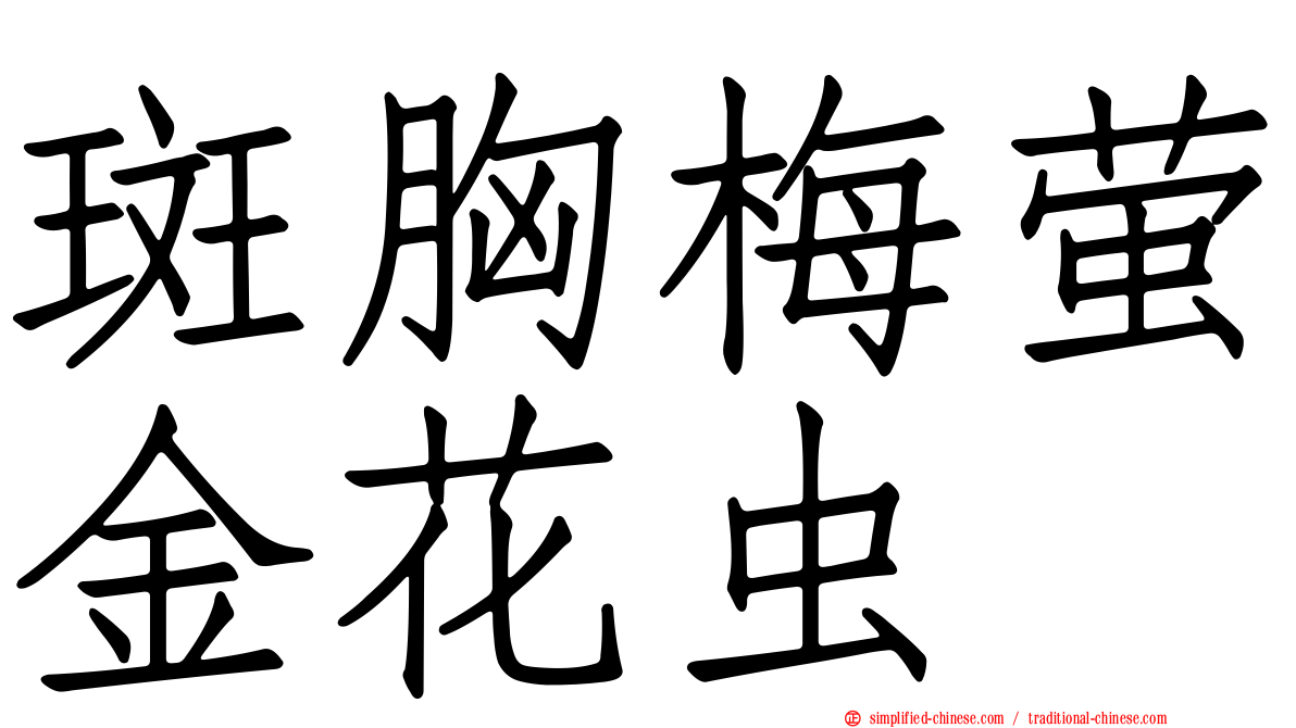 斑胸梅萤金花虫