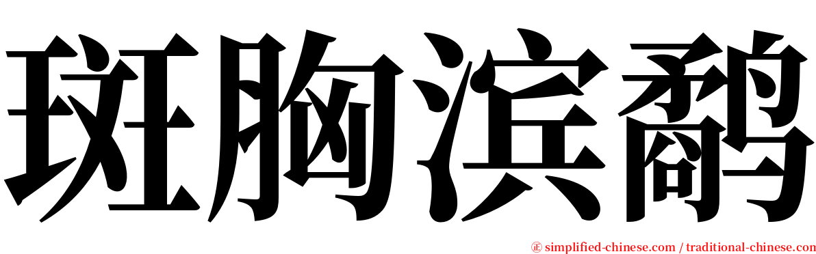 斑胸滨鹬 serif font