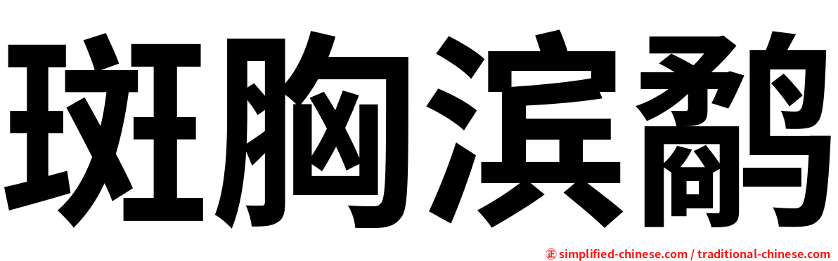 斑胸滨鹬