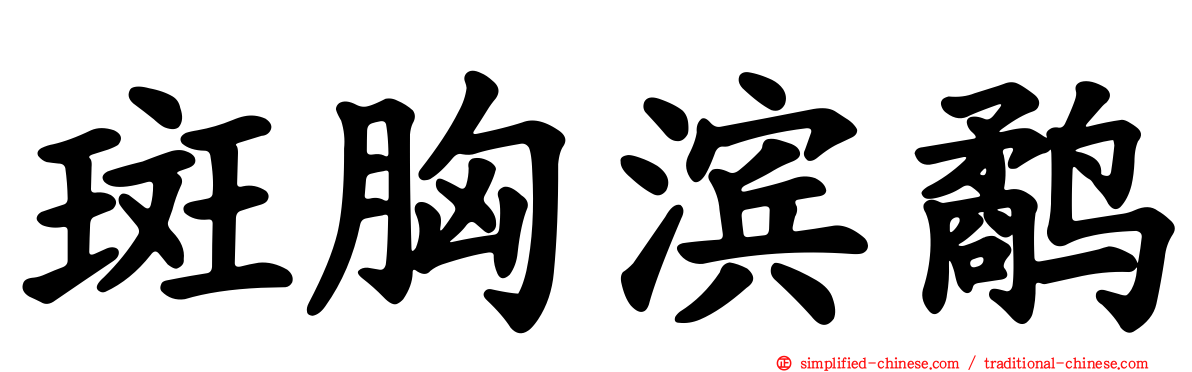 斑胸滨鹬