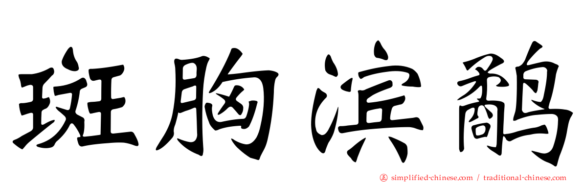 斑胸滨鹬
