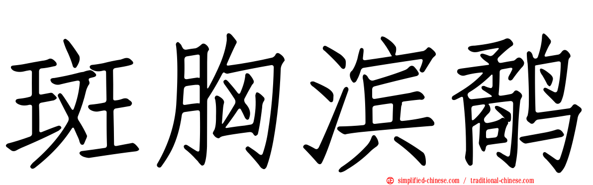斑胸滨鹬