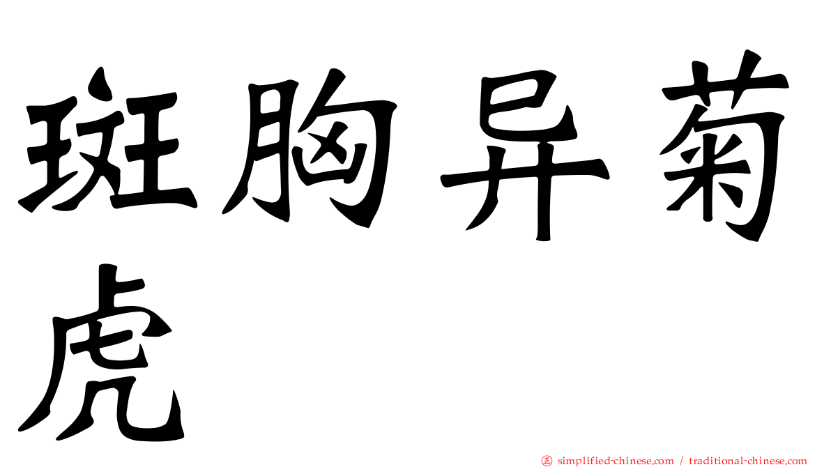 斑胸异菊虎