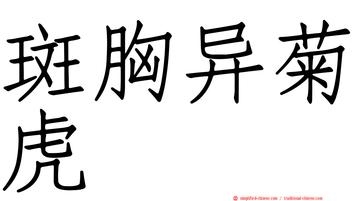 斑胸异菊虎