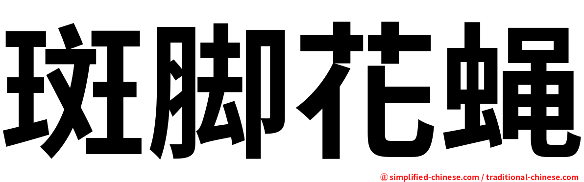 斑脚花蝇