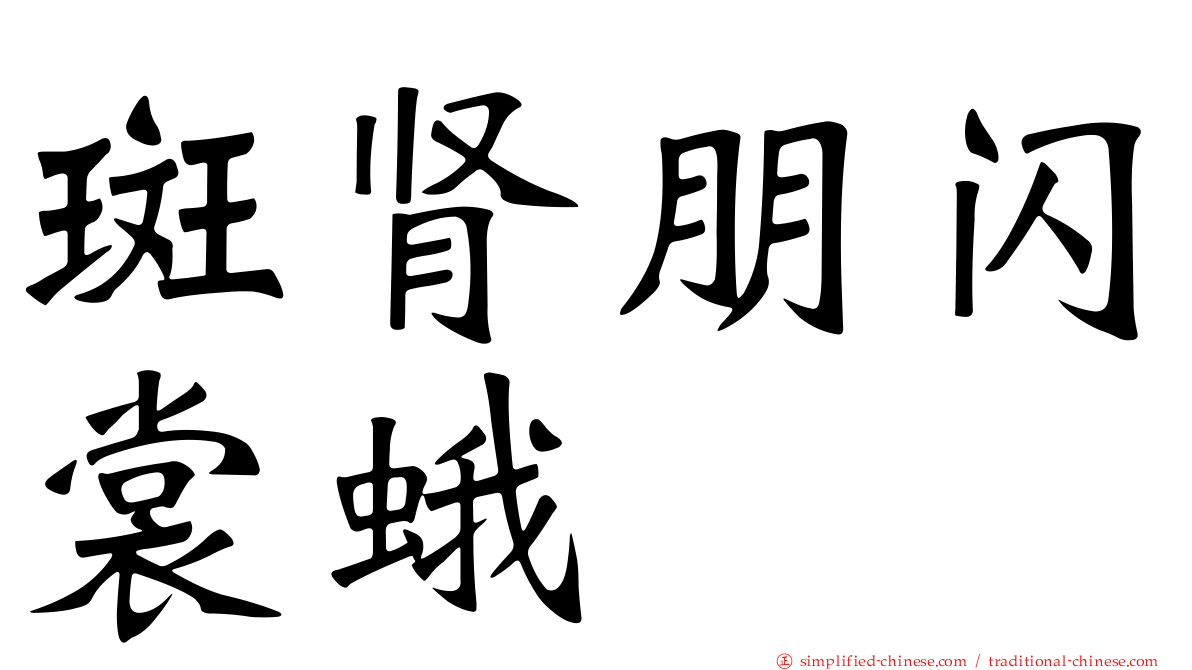 斑肾朋闪裳蛾