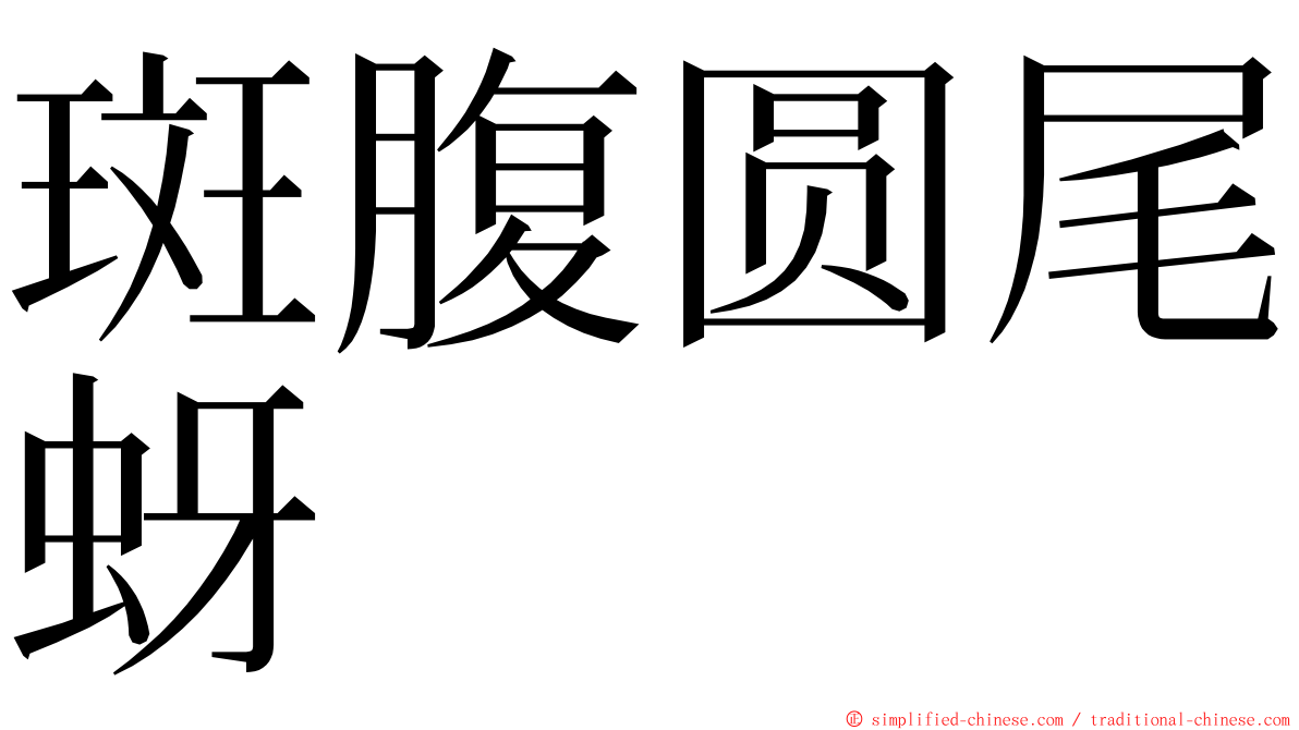 斑腹圆尾蚜 ming font