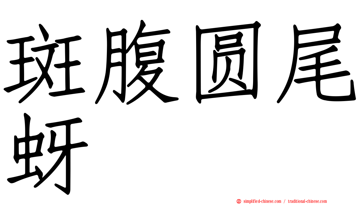 斑腹圆尾蚜
