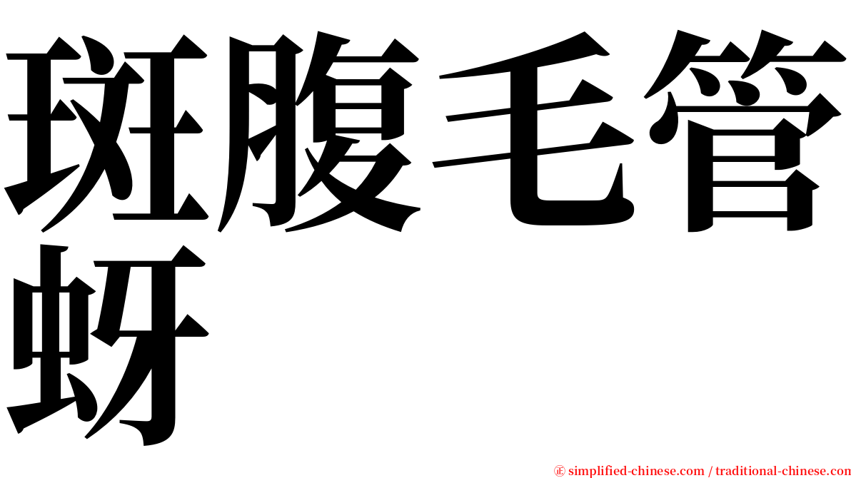 斑腹毛管蚜 serif font