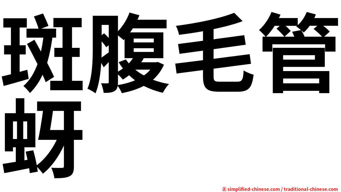 斑腹毛管蚜