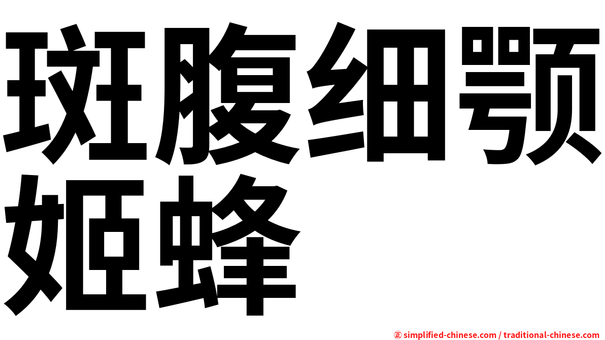 斑腹细颚姬蜂