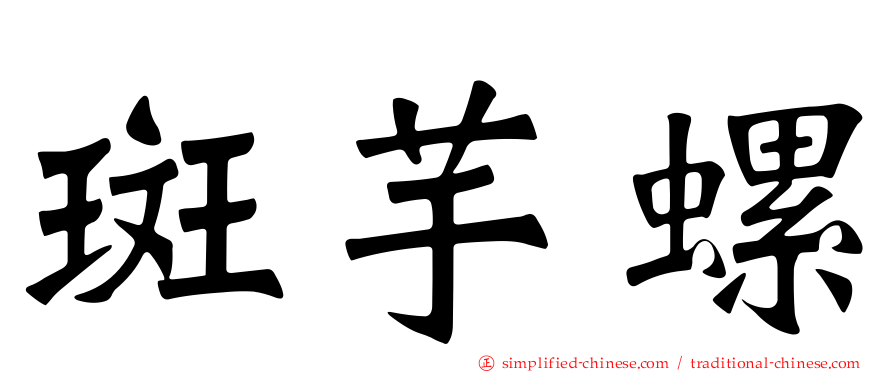 斑芋螺