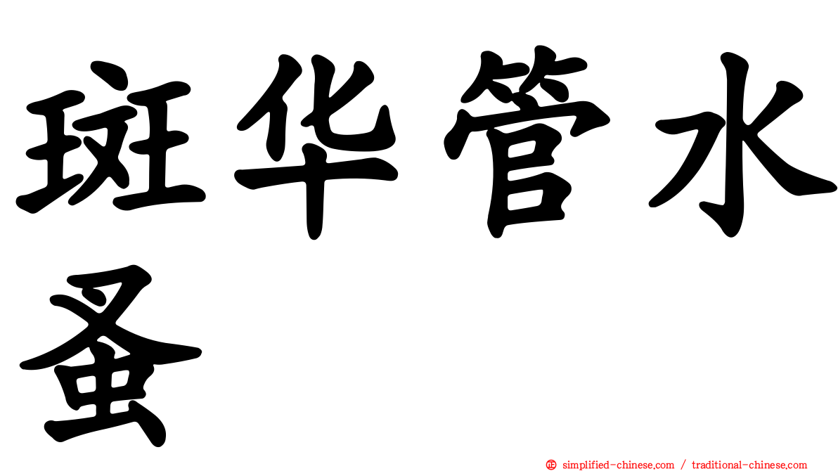 斑华管水蚤