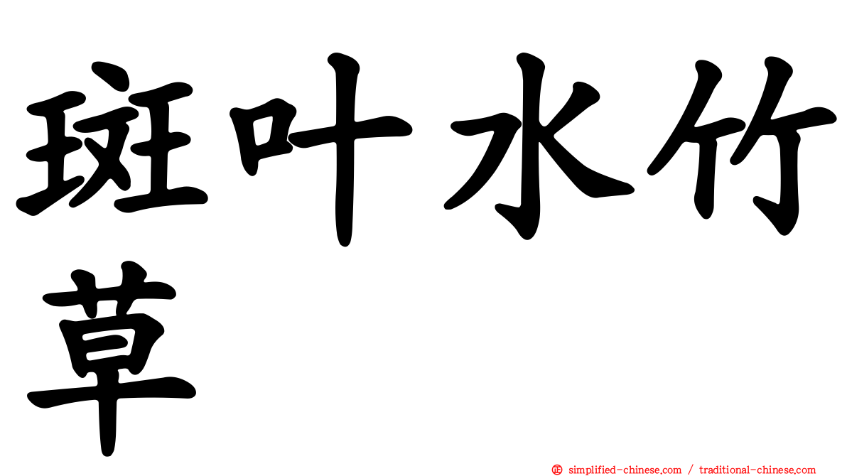 斑叶水竹草
