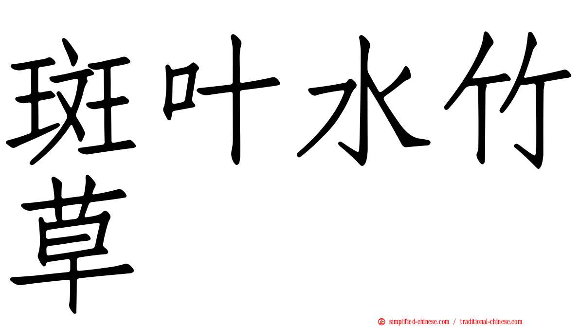 斑叶水竹草