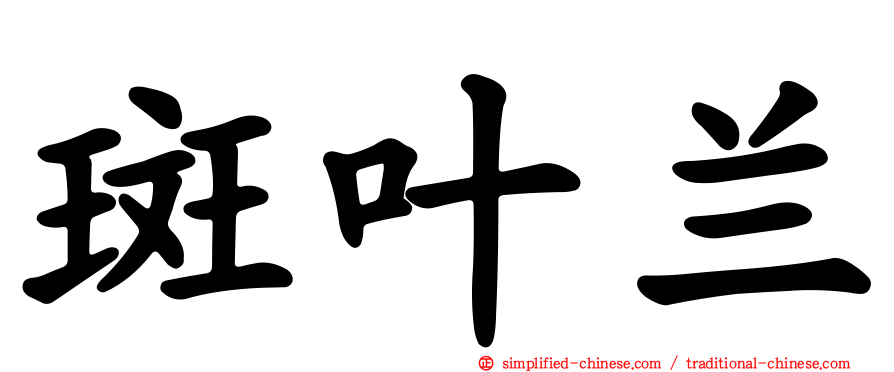 斑叶兰