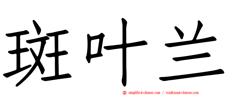 斑叶兰