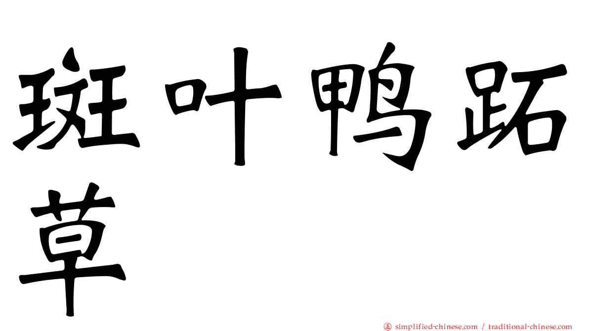 斑叶鸭跖草