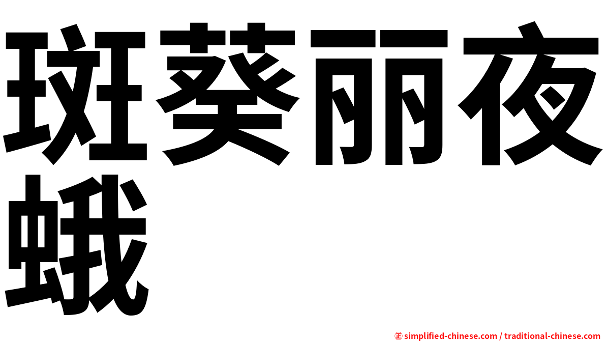 斑葵丽夜蛾