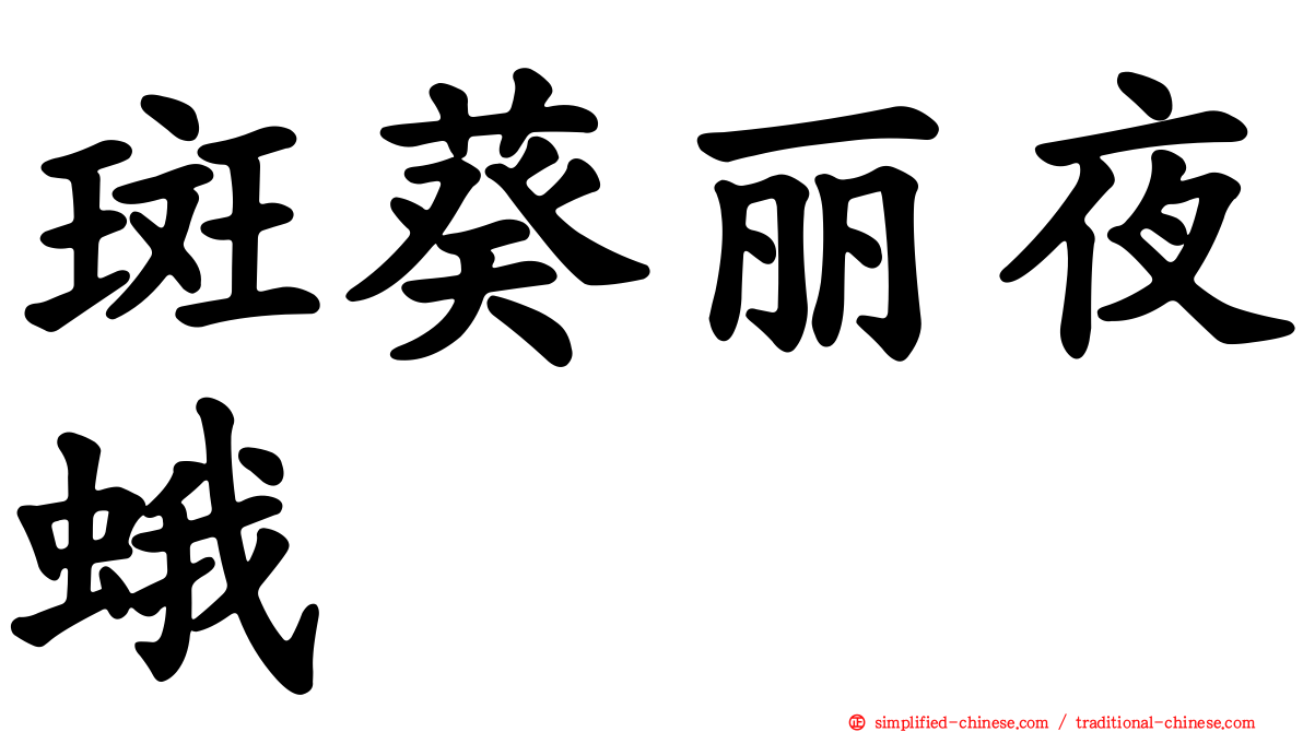 斑葵丽夜蛾