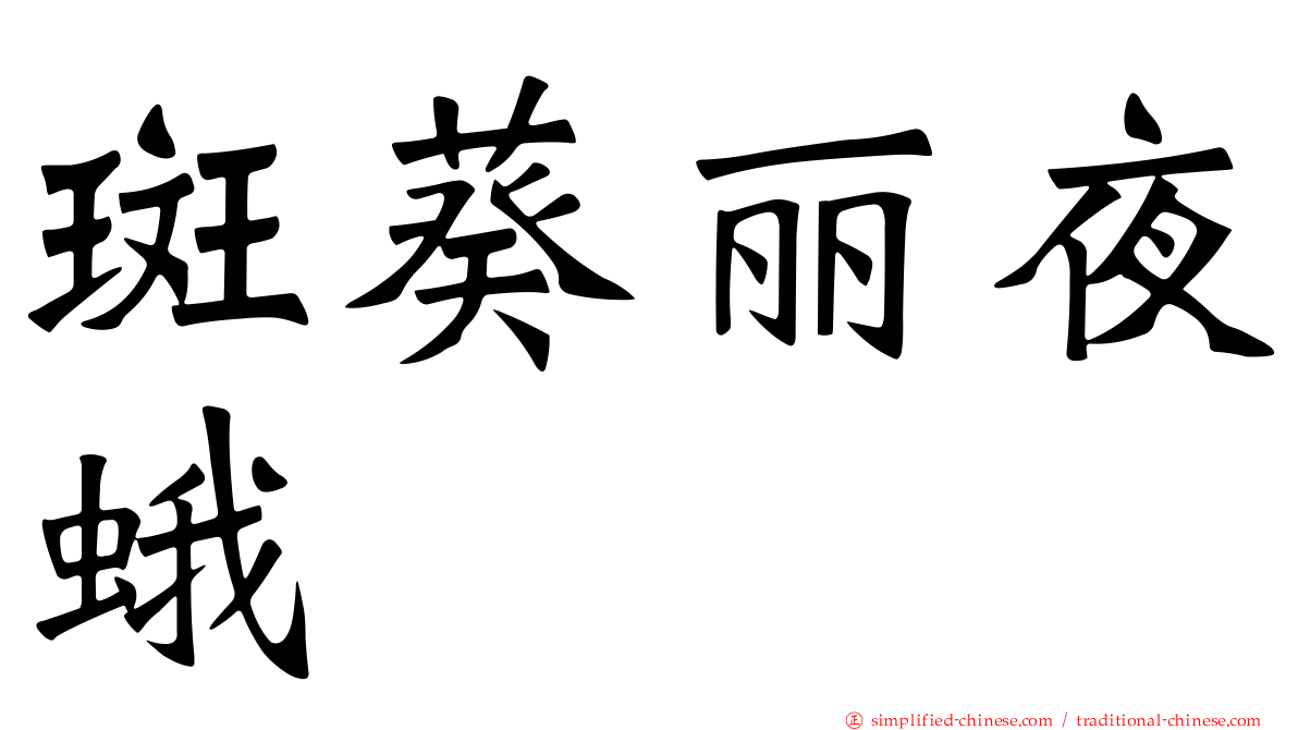 斑葵丽夜蛾