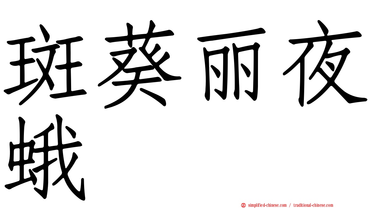 斑葵丽夜蛾