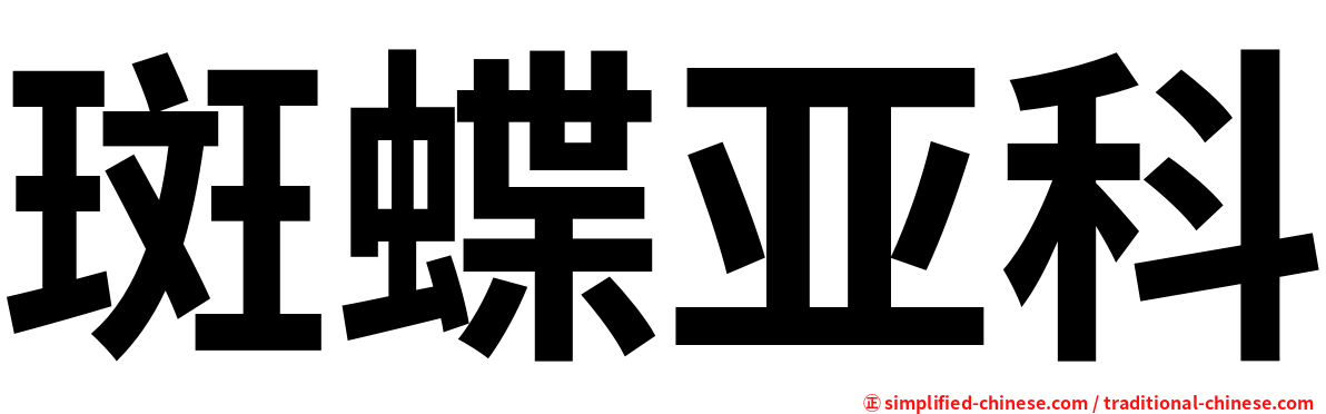 斑蝶亚科