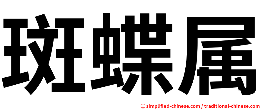 斑蝶属