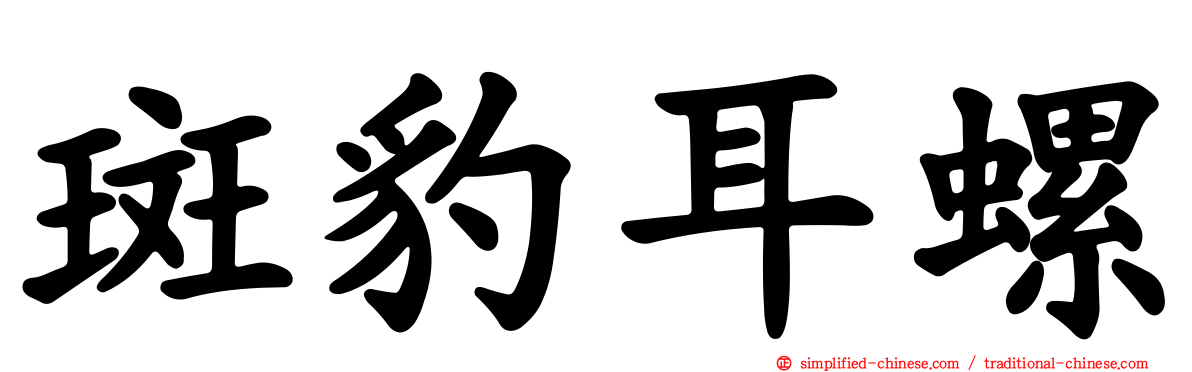 斑豹耳螺
