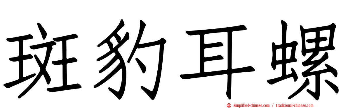 斑豹耳螺
