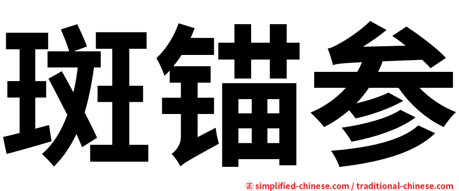斑锚参