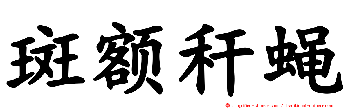 斑额秆蝇